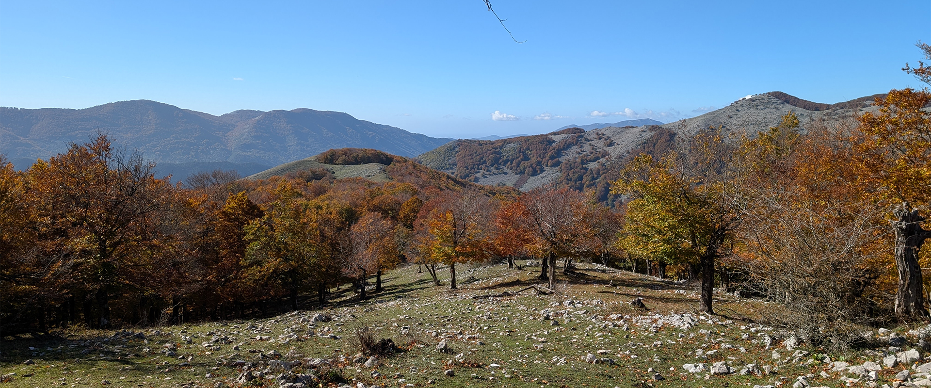 UNA "GEMMA" E' PER SEMPRE